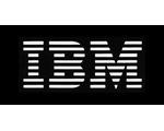 IBM žaluje výrobce nepravých a nebezpečných baterií