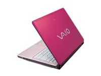 Sony Vaio FJ