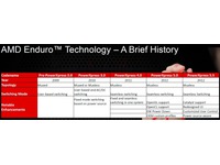 AMD-Enduro-history