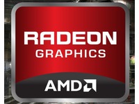 AMD-Enduro