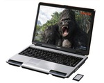 Toshiba Satellite P100 - NVIDIA GeForce Go 7900