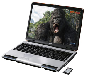 Toshiba Satellite P100 - NVIDIA GeForce Go 7900