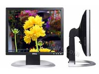 Dell UltraSharp 1707FPV