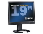 iiyama - 2 nové monitory s nastavením výšky a dobou odezvy 2ms