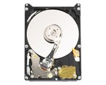 WD Scorpio-8482 250 GB pro notebooky s PMR