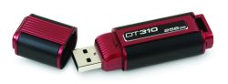 250 GB USB flash Kingston DataTraveler 310